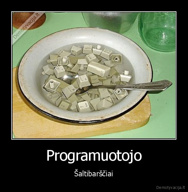 Programuotojo - Šaltibarščiai