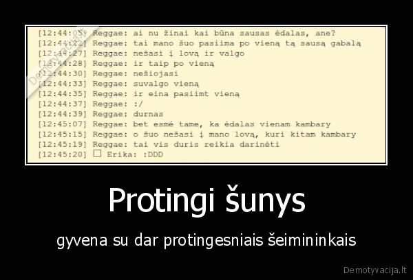 Protingi šunys - gyvena su dar protingesniais šeimininkais