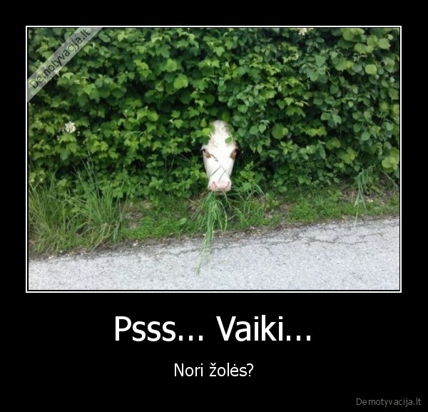 Psss... Vaiki... - Nori žolės?