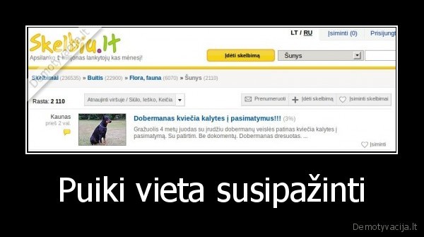 Puiki vieta susipažinti - 