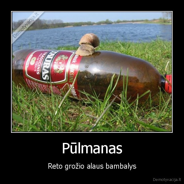 Pūlmanas - Reto grožio alaus bambalys