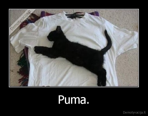 Puma. - 