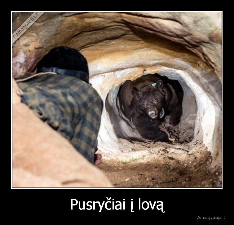 Pusryčiai į lovą - 