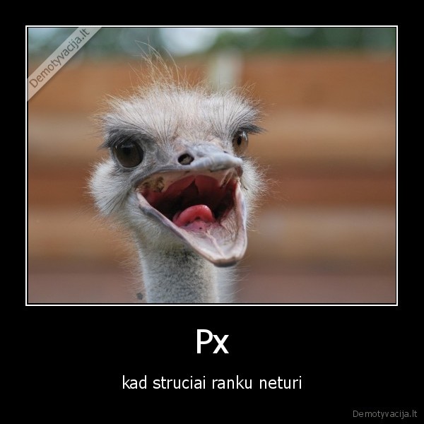 Px - kad struciai ranku neturi