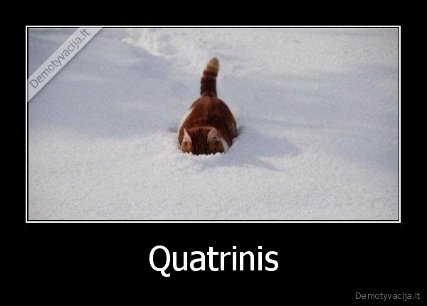 Quatrinis - 