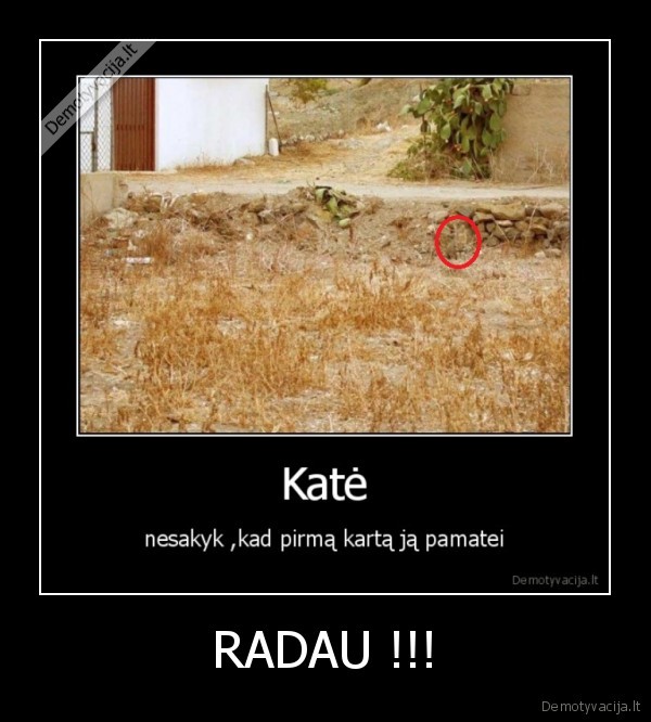 RADAU !!! - 