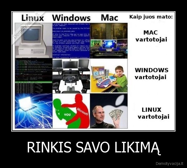 RINKIS SAVO LIKIMĄ - 