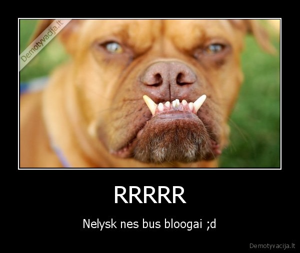 RRRRR - Nelysk nes bus bloogai ;d