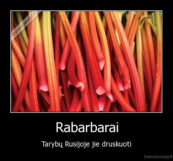 Rabarbarai - Tarybų Rusijoje jie druskuoti