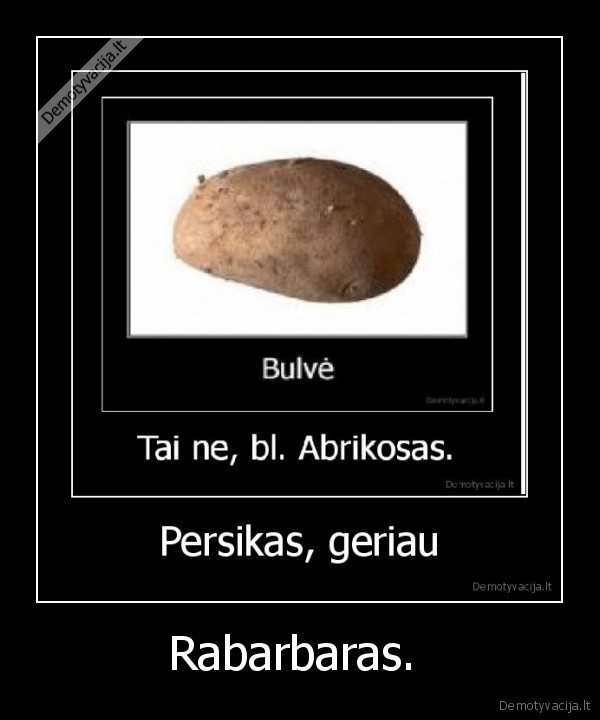 Rabarbaras.  - 