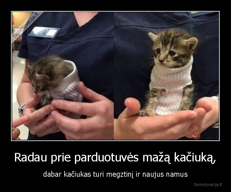 Radau prie parduotuvės mažą kačiuką, - dabar kačiukas turi megztinį ir naujus namus