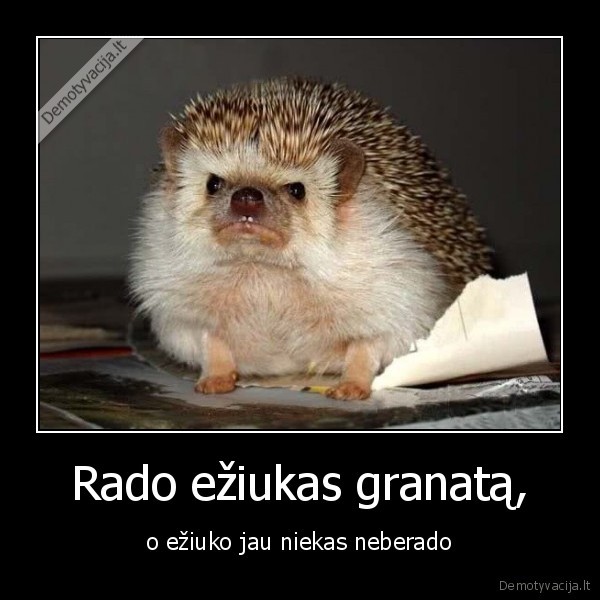 Rado ežiukas granatą, - o ežiuko jau niekas neberado