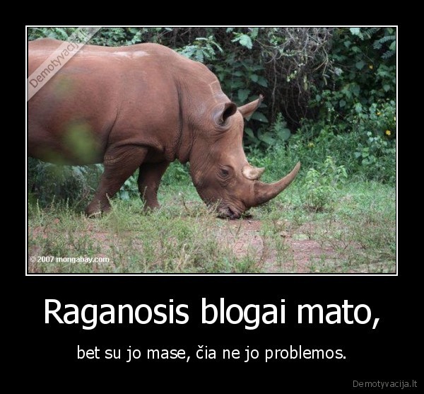 Raganosis blogai mato, - bet su jo mase, čia ne jo problemos.