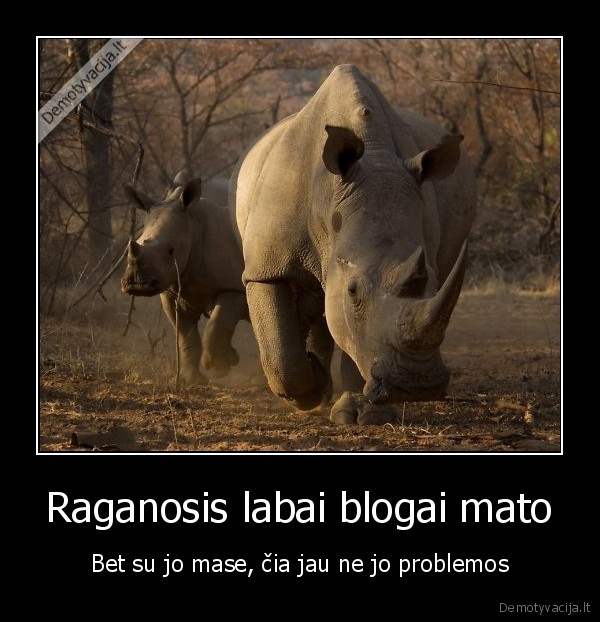 Raganosis labai blogai mato - Bet su jo mase, čia jau ne jo problemos