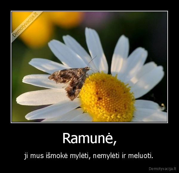 Ramunė, - ji mus išmokė mylėti, nemylėti ir meluoti.