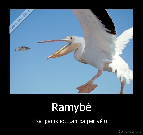 Ramybė - Kai panikuoti tampa per vėlu