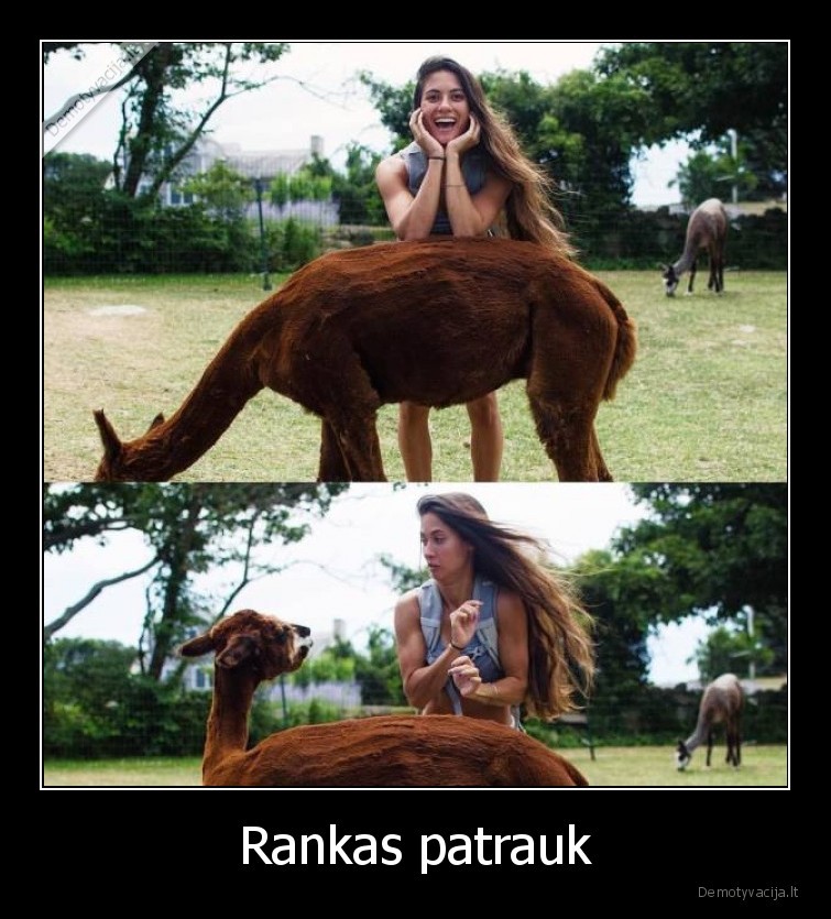 Rankas patrauk - 