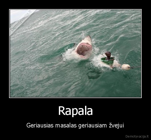 Rapala - Geriausias masalas geriausiam žvejui