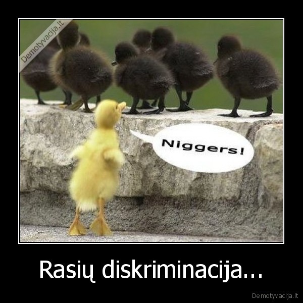 Rasių diskriminacija... - 