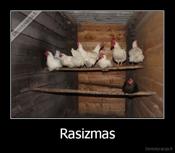 Rasizmas - 