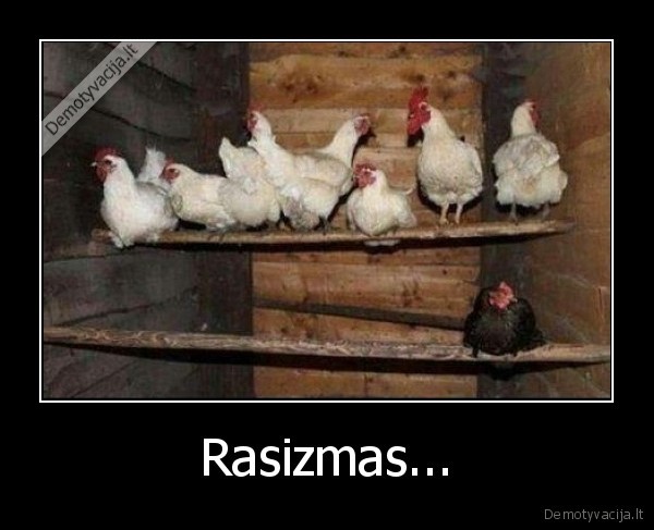 Rasizmas... - 