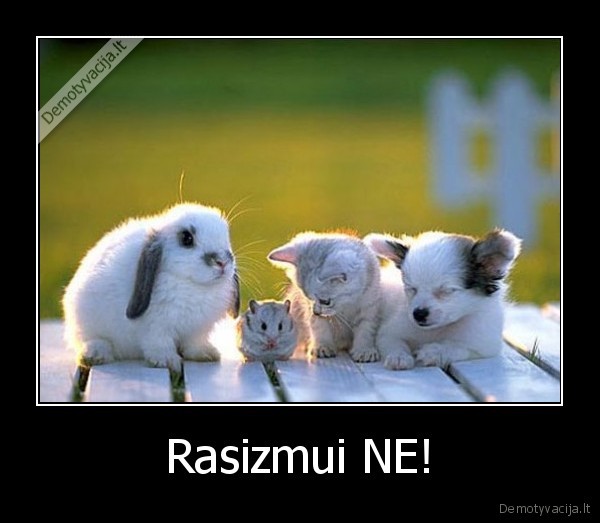 Rasizmui NE! - 