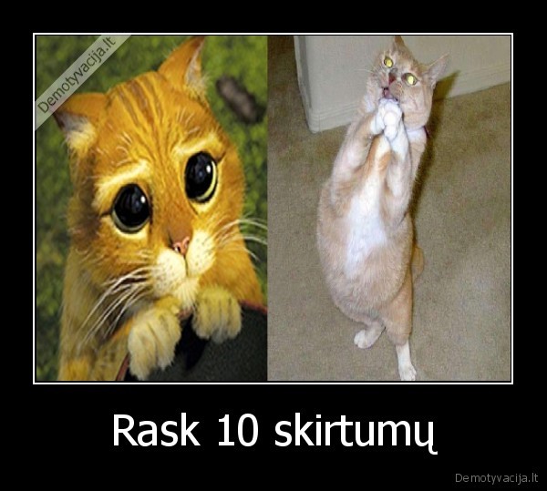 Rask 10 skirtumų - 