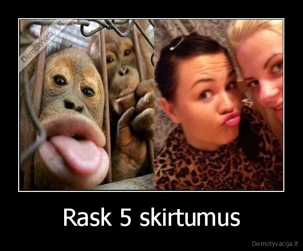 Rask 5 skirtumus - 