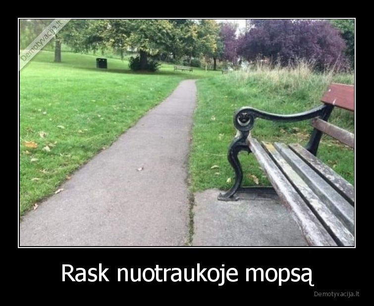 Rask nuotraukoje mopsą - 