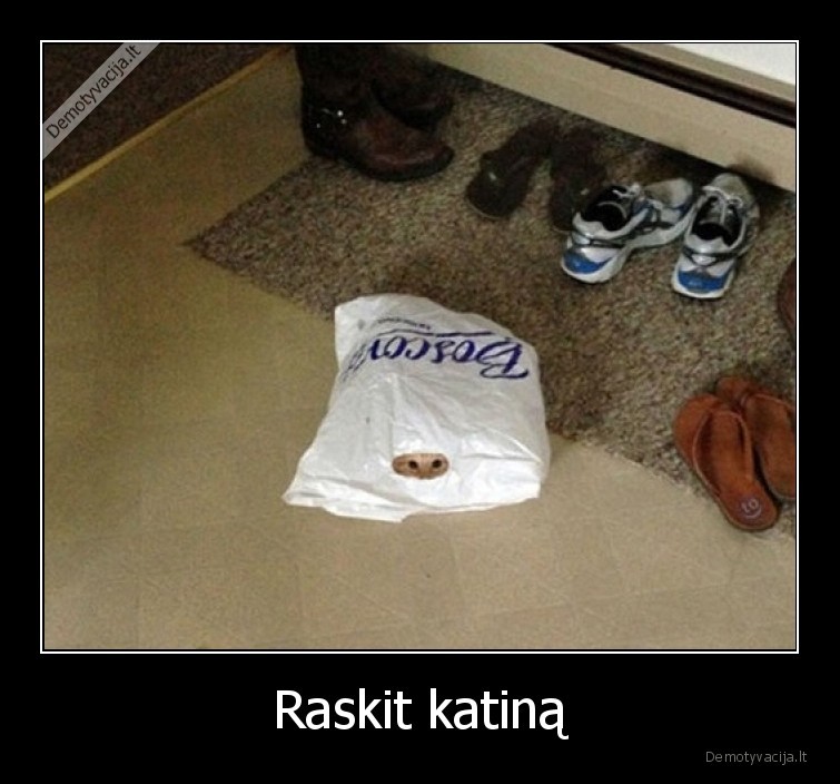 Raskit katiną - 