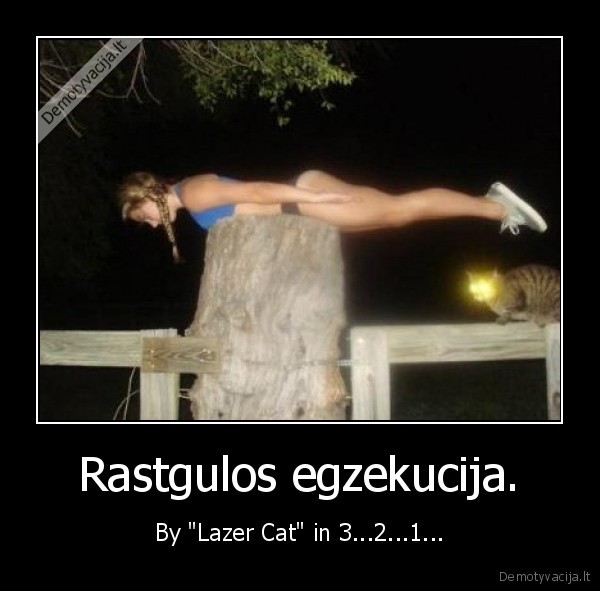 Rastgulos egzekucija. - By "Lazer Cat" in 3...2...1...