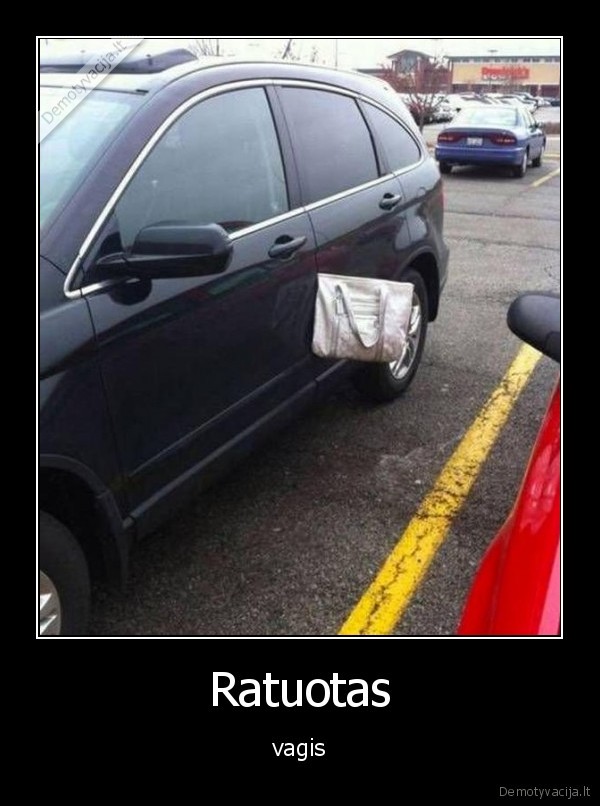 Ratuotas - vagis