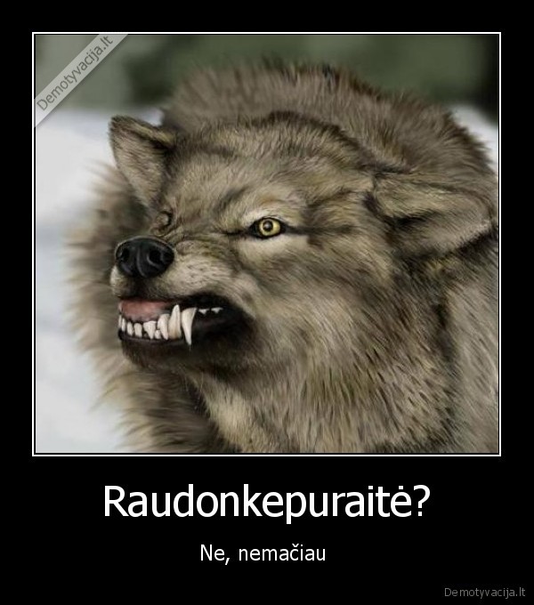 Raudonkepuraitė? - Ne, nemačiau 