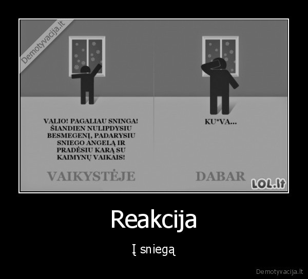 Reakcija - Į sniegą