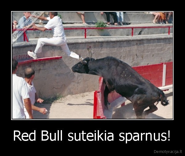 Red Bull suteikia sparnus! - 