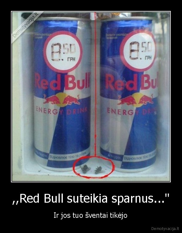 ,,Red Bull suteikia sparnus...'' - Ir jos tuo šventai tikėjo