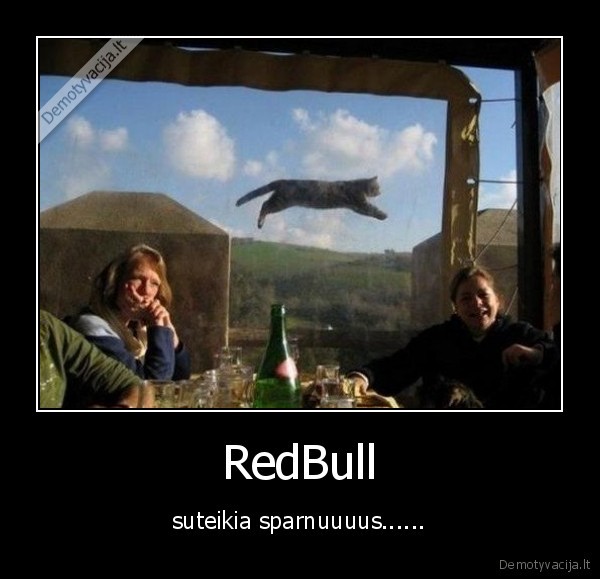 RedBull - suteikia sparnuuuus......