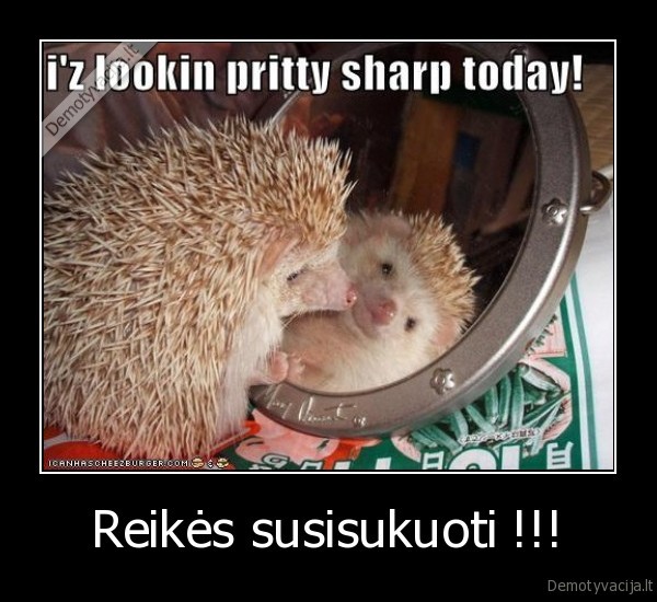 Reikės susisukuoti !!! - 