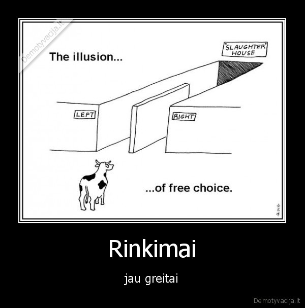 Rinkimai - jau greitai