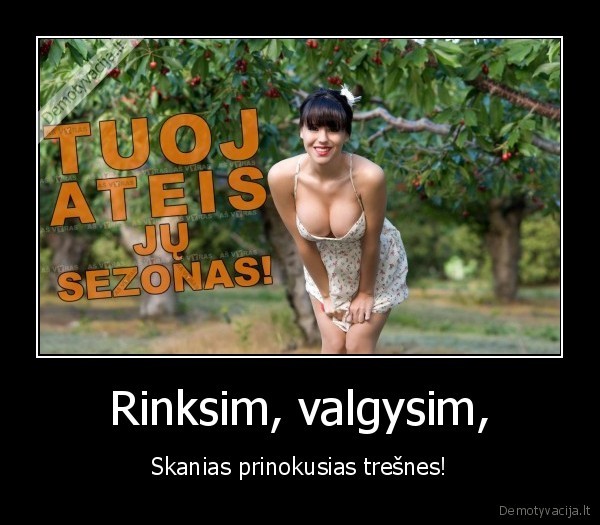 Rinksim, valgysim, - Skanias prinokusias trešnes!