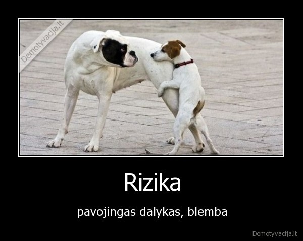 Rizika - pavojingas dalykas, blemba