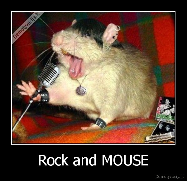 Rock and MOUSE - 