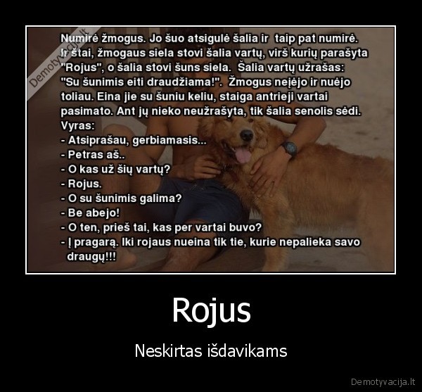 Rojus - Neskirtas išdavikams