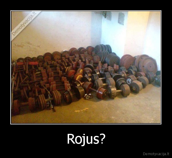 Rojus? - 