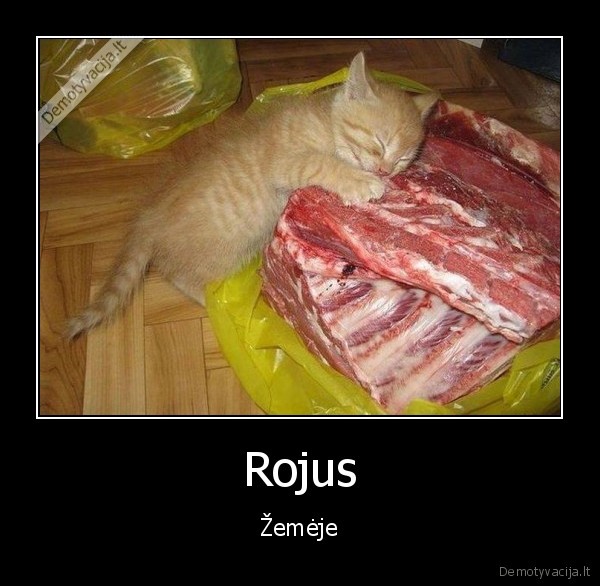 Rojus - Žemėje