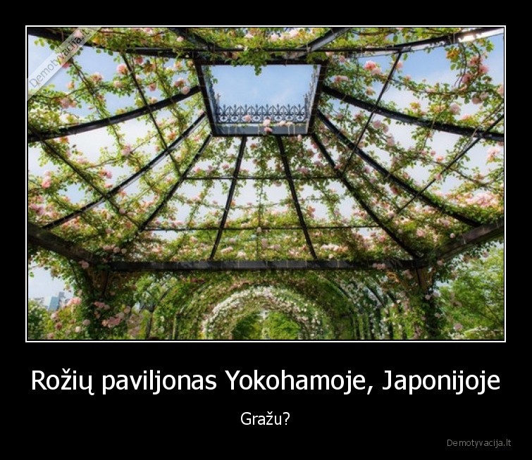 Rožių paviljonas Yokohamoje, Japonijoje - Gražu?