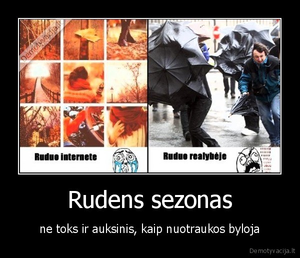 Rudens sezonas - ne toks ir auksinis, kaip nuotraukos byloja