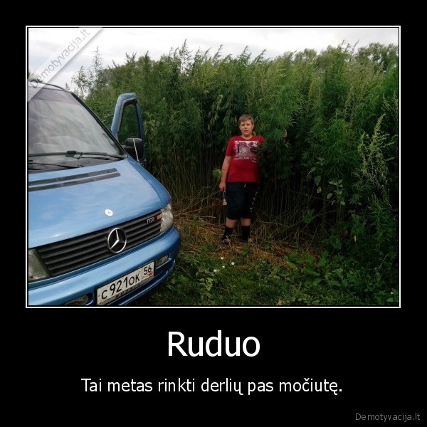 Ruduo - Tai metas rinkti derlių pas močiutę.