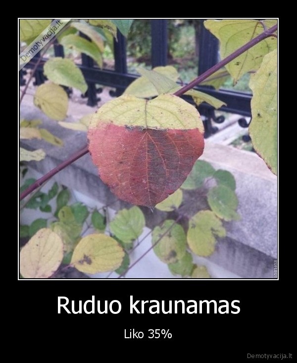 Ruduo kraunamas - Liko 35%