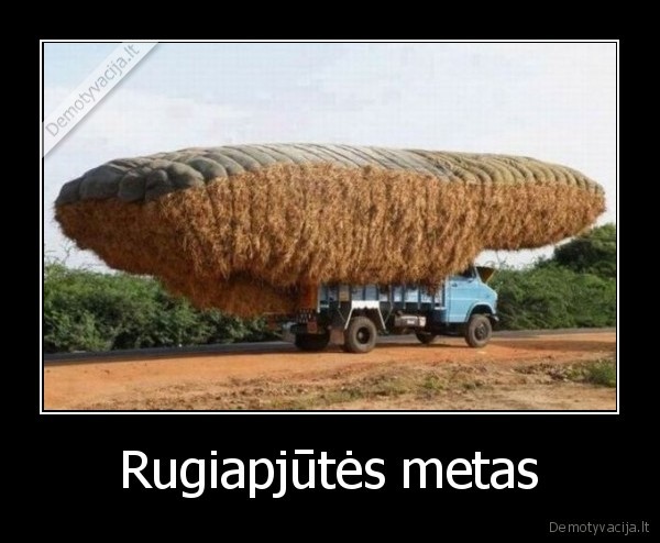 Rugiapjūtės metas - 